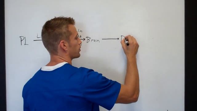 Dopamine Deficiency: the Cause is the Cure - Dr. John Bartemus - #lifeatoptimal смотреть онлайн