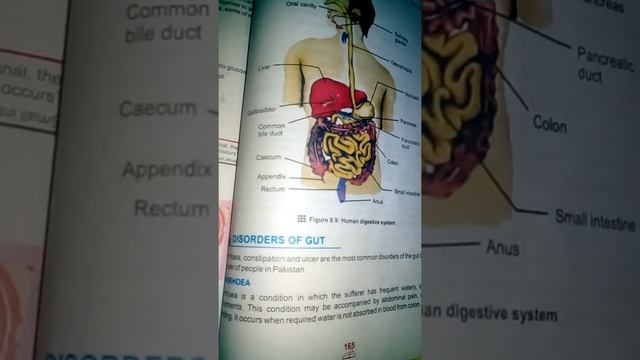 Biology(Disorders of Gut) смотреть онлайн