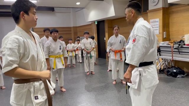 美しく‼️凄いスピード茶帯の後ろ回し蹴り‼️#極真空手 #kyokushin #空手#karate #空手女子 смотреть онлайн