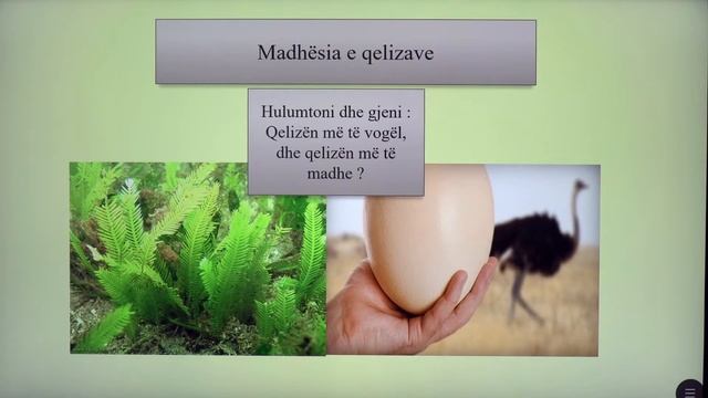 8 06 001 - Java e parë - Biologji - Qeliza смотреть онлайн
