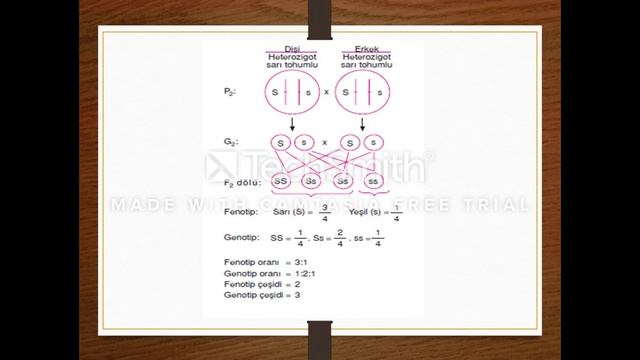 8. sınıf Kalıtım Konu Anlatımı смотреть онлайн