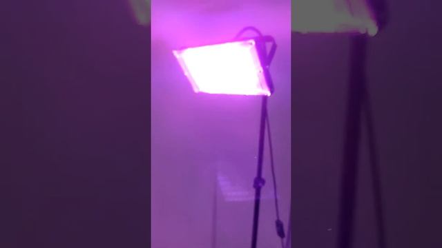 full spectrum LED light-shopee shop - YQY Natural смотреть онлайн