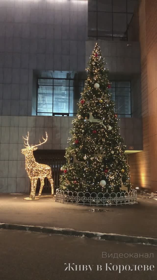 В Ашан за елкой и новогодним настроением (ТЦ Акварель) смотреть онлайн