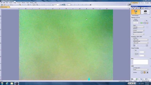 Dirk Elston Potpourri slides February 2, 2016 смотреть онлайн