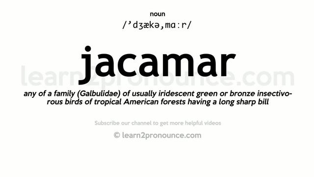 Pronunciation of Jacamar | Definition of Jacamar смотреть онлайн