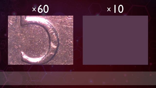 MICROSCOPE GUESSING GAME 2 - Can You Guess What It Is?