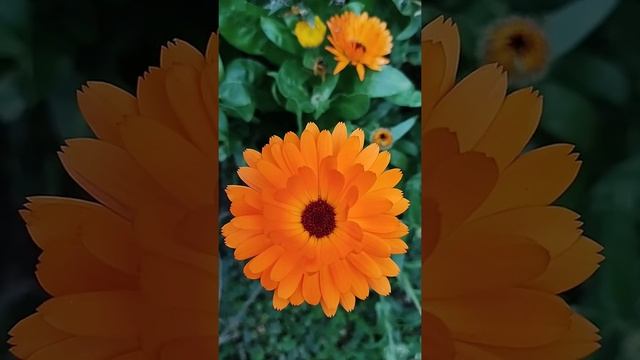 Бизнес с нуля или как всё это было #deluxartbg смотреть онлайн