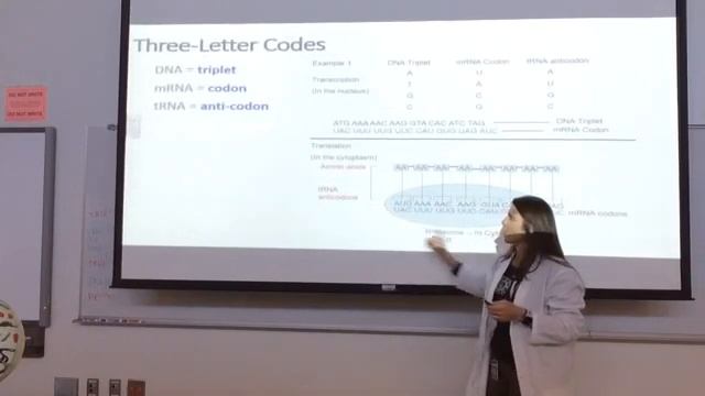 From DNA to Protein (Part I)- Dr. Jessica Guerrero смотреть онлайн