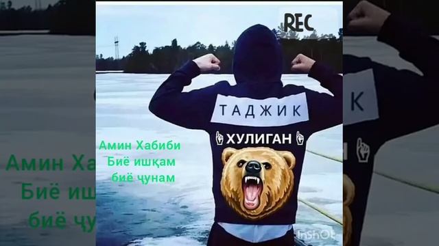 Amin Habibi биё ишқам биё ҷунам