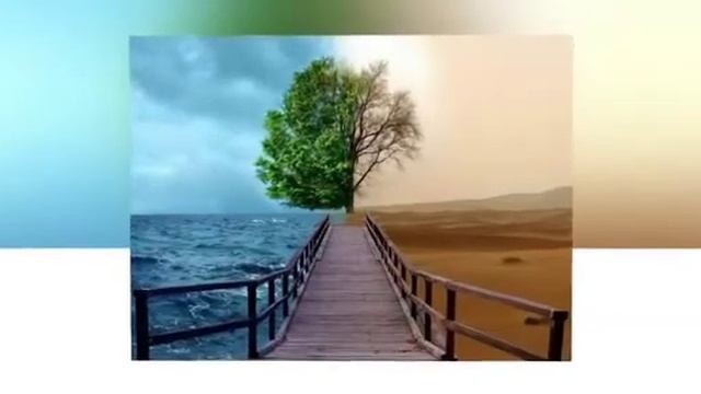 Тұрақты даму стратегиясының негізгі шарттары - Аптикаликова Р смотреть онлайн