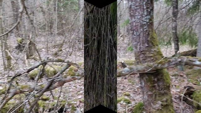 Деревня Орьянсаари, группа хозяйств Колканкулма, хозяйство Тойвола смотреть онлайн