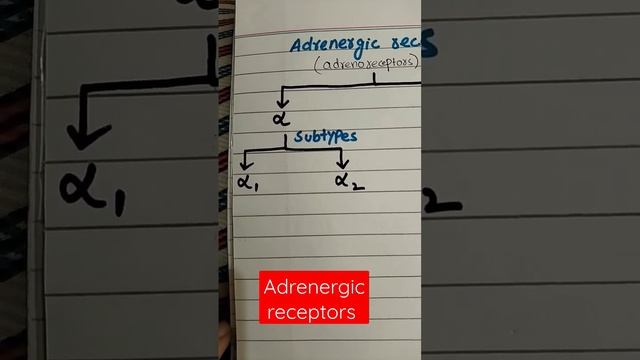 Adrenergic receptors Part#1 #Alphareceptors #Betareceptors #pharmacology #learnaboutpharmacy смотреть онлайн