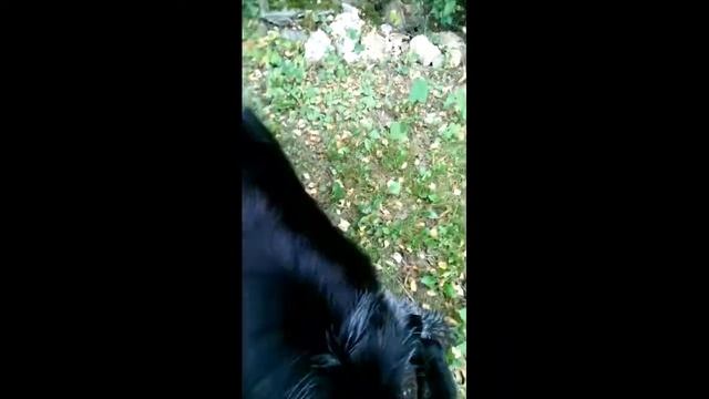 1 декабря 2016 г. смотреть онлайн