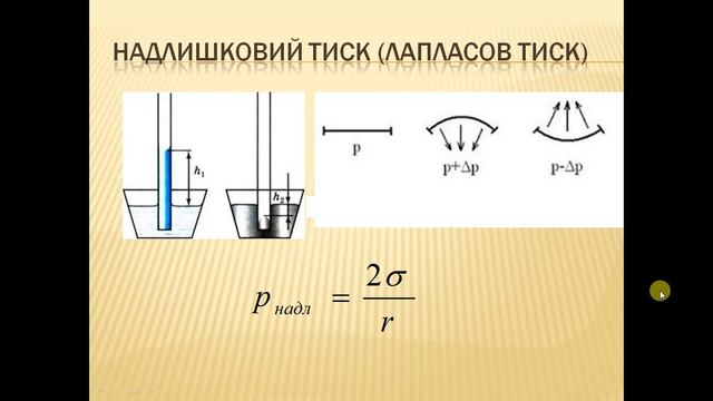 Урок 8.2 Змочування. Незмочування. Капілярні явища смотреть онлайн