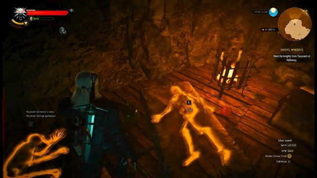 Witcher 3 Wild Hunt Next Gen - Monster den (Novigrad) смотреть онлайн