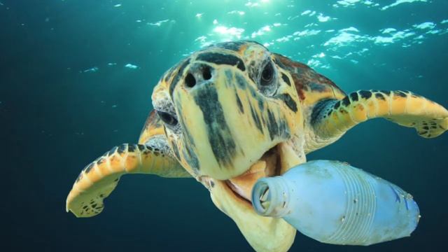 Oceans смотреть онлайн