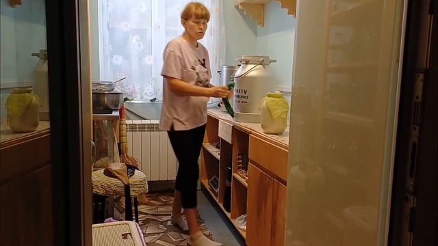 Средства по борьбе с мухами🪰🪰🪰купили сено🐄🐄🐄#сельское #хозяйство #животные #корова смотреть онлайн