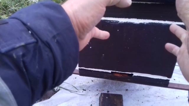 Бактерия 1 Конец проблемы . Но !!!.... Это не Воратоз смотреть онлайн