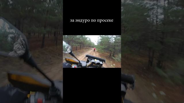 За эндуро по просеке на квадроцикле guepard atv 650 смотреть онлайн