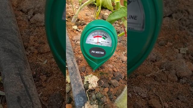 Soil Ph Test смотреть онлайн