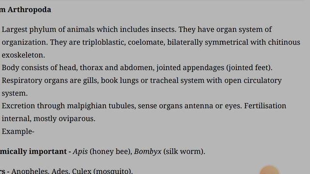 Bio class 11 ch 4 смотреть онлайн