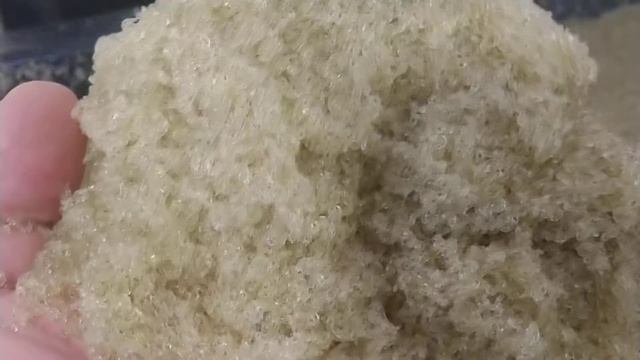 Коретра сырье смотреть онлайн