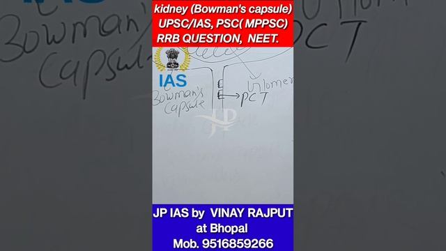 kidney ( Renal tubule), cuboidal cell , brush bordered cell UPSC, PSC, mppsc #mppsc ##uppsc смотреть онлайн