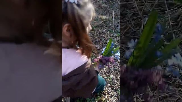 Подснежники 2018 год х. Ильинка. смотреть онлайн