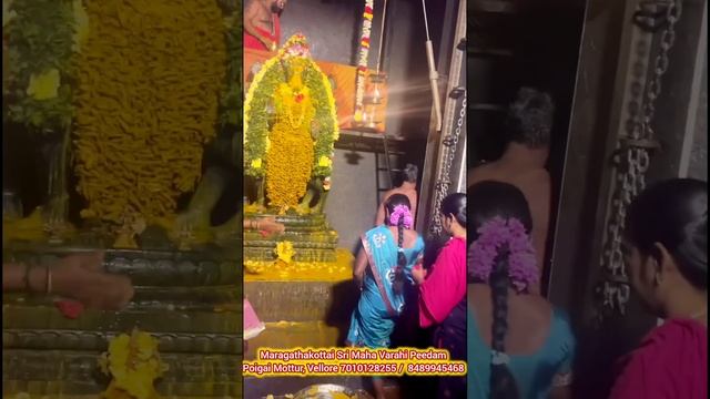 1008 Turmeric Water pot Abhishekam to Sri Maha Varahi Ambal by Devotees смотреть онлайн
