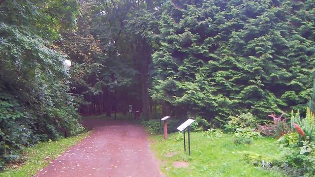 Переславль-залесский.Дендрологический сад (часть 1) смотреть онлайн