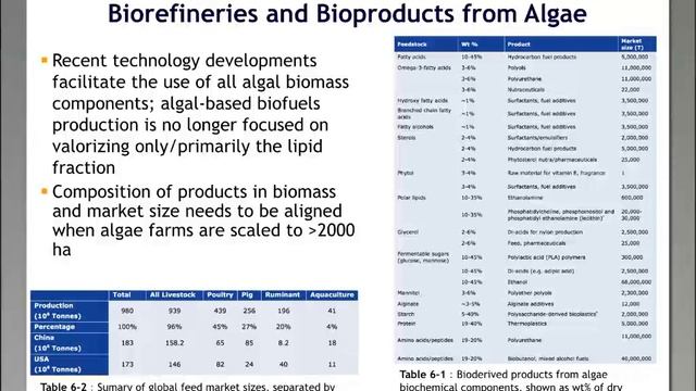 Algae Bioenergy State of Technology Review смотреть онлайн