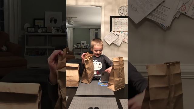 Triplet Gender Reveal