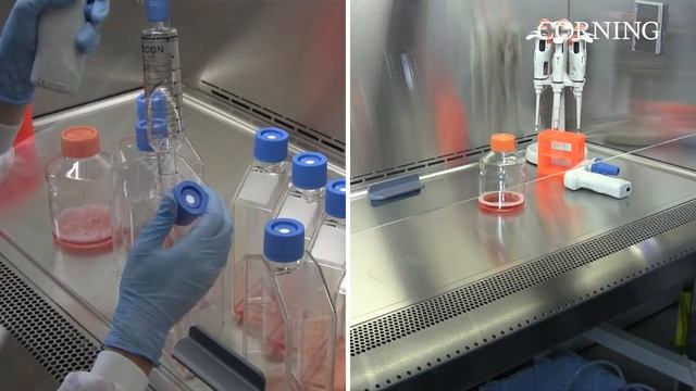 Falcon® Cell Culture Multi-Flask | Multiply your cell growth. Multiply your productivity. смотреть онлайн