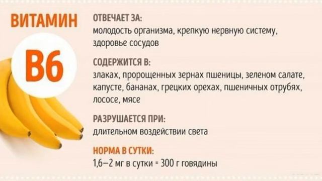 Гид по витаминах смотреть онлайн