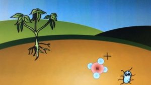 Круговорот азота