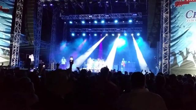 AMF 311 jam смотреть онлайн