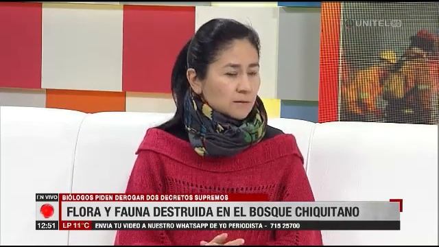 Flora y Fauna destruída en el bosque Chiquitano, piden declarar zona de desastre смотреть онлайн
