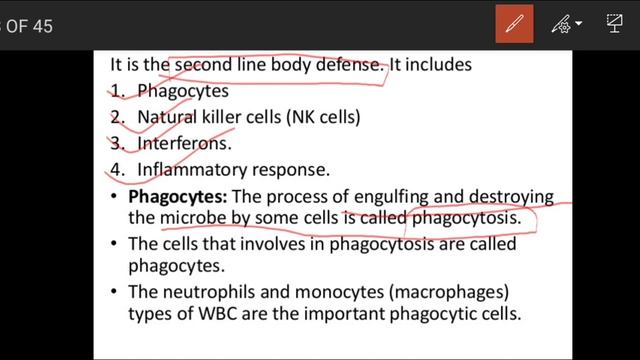 Immunity part 2 (grade 12 Biology) смотреть онлайн