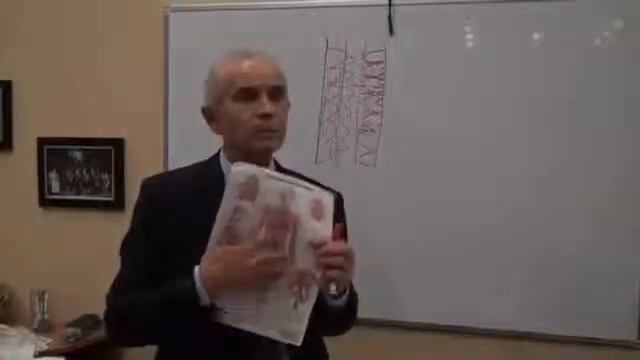 Городиский Б В О пищеварении смотреть онлайн