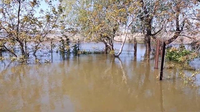 Ситуация с затоплением на 7 мая 2023 смотреть онлайн