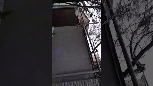 Первый снег в Симферополе ! смотреть онлайн