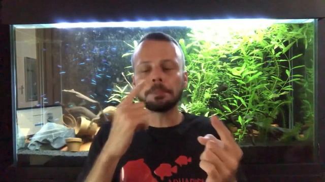 O que fazer para manter o ph em neutro 7.0 смотреть онлайн