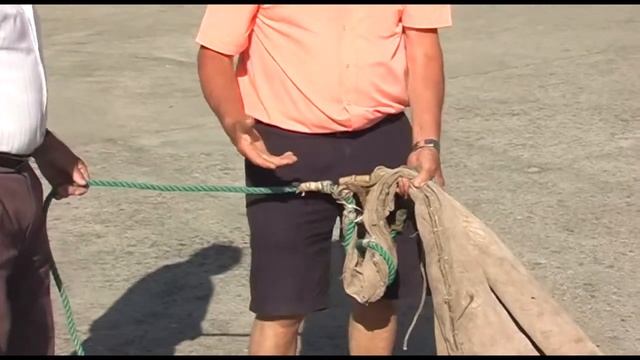 A VELA DA GAMELA DA GUARDA (I) смотреть онлайн