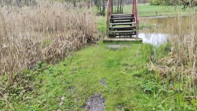 Вязынка. парк музей Янки Купалы!🇧🇾 смотреть онлайн