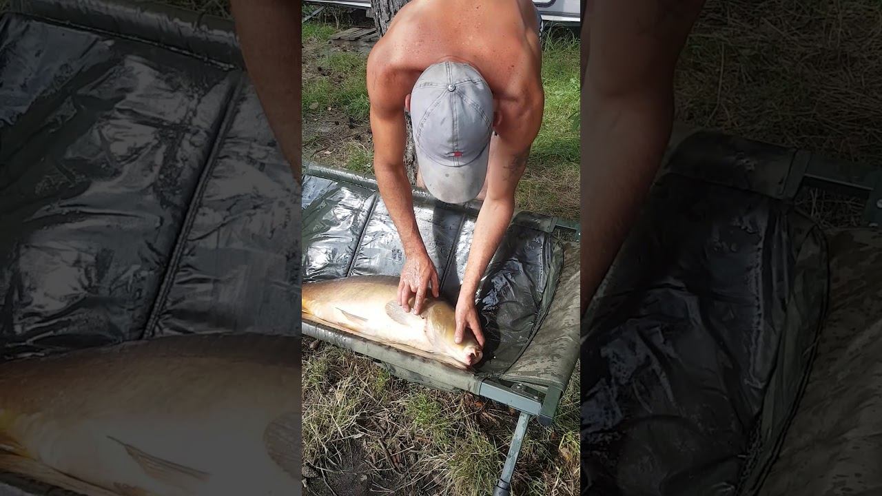 Рыбалка в Польше. смотреть онлайн