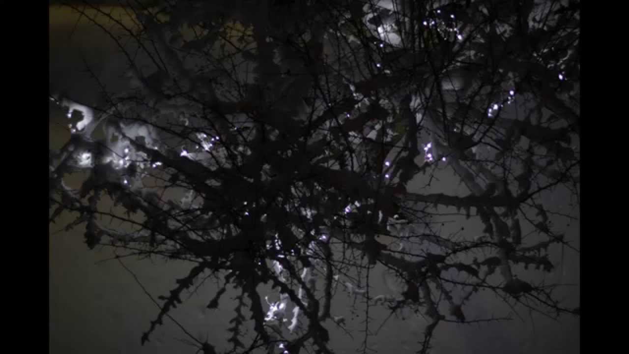 The inner Sound смотреть онлайн
