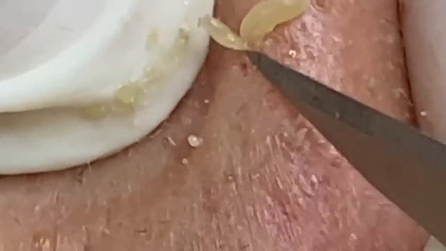 𝐁𝐞𝐚𝐮𝐭𝐲 𝐑𝐞𝐥𝐚𝐱 𝐃𝐚𝐢𝐥𝐲 | 1151 смотреть онлайн