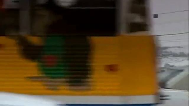 ФЛОРА ВАФИНА смотреть онлайн