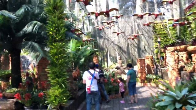 Тайланд. Парк Nong nooch. Флора. смотреть онлайн