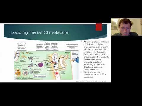 10/19/21 | MCH/TCR: The Intricate Relationship смотреть онлайн